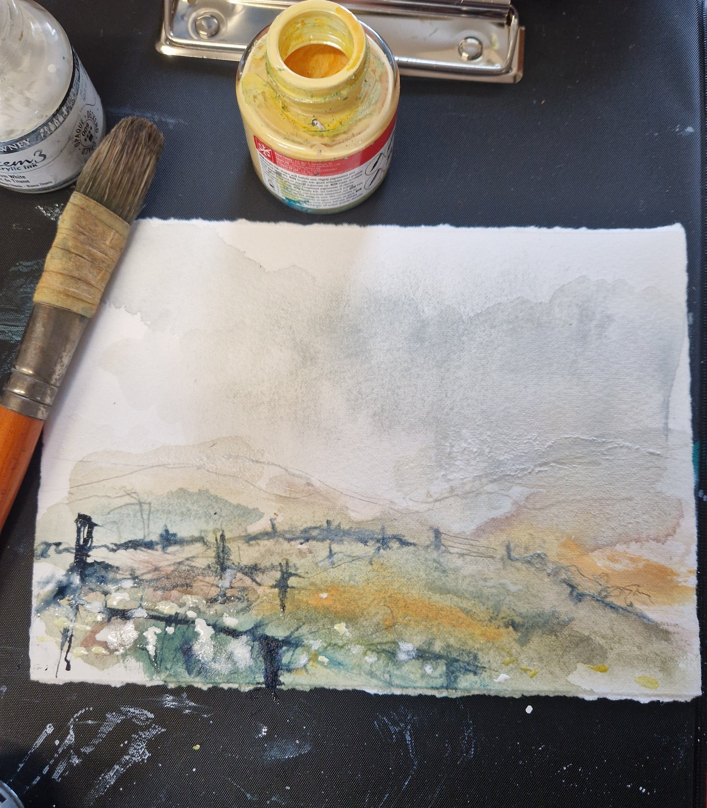 Corn Crake Calls in the Machair, North Uist