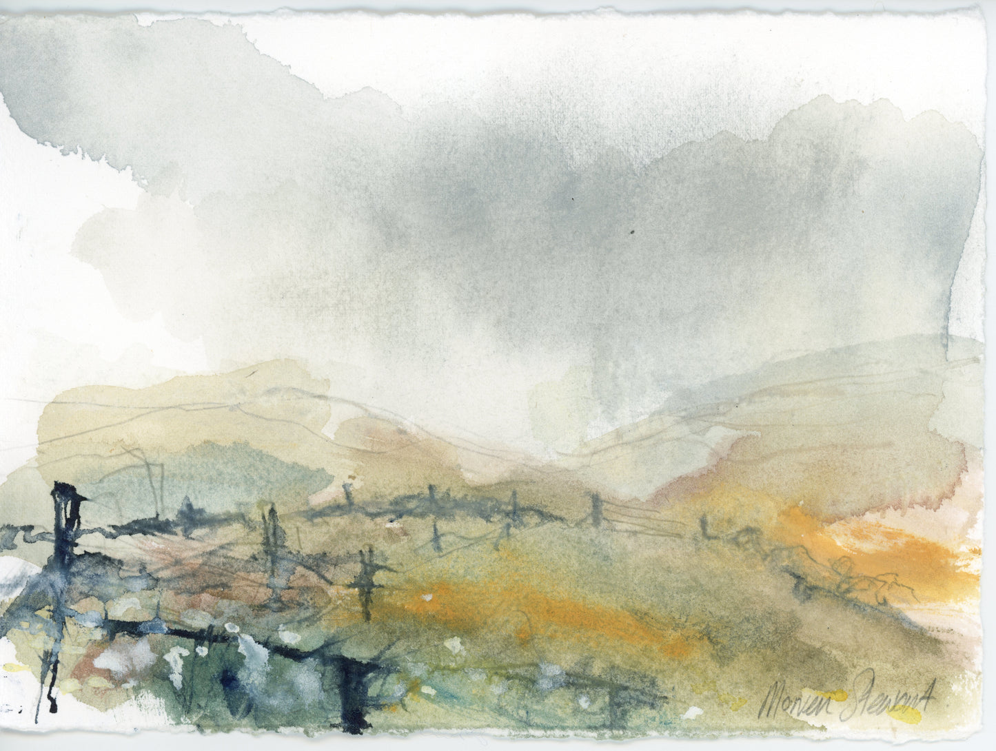 Corn Crake Calls in the Machair, North Uist